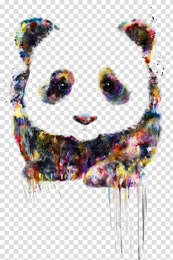 Panda painting, Giant panda Bear Cuteness Drawing Raccoon, panda transparent background PNG clipart