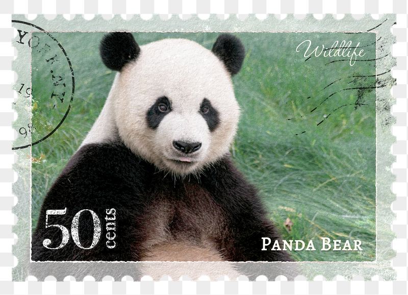 Panda png post stamp sticker, | Free PNG - rawpixel