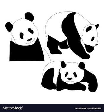 panda set free
