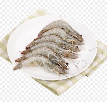 Pandalus borealis Fried rice Whiteleg shrimp JD.com - Arctic sweet shrimp 
