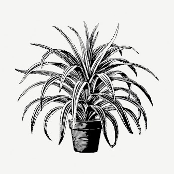 Pandanus plant collage element, vintage | Free PSD - rawpixel