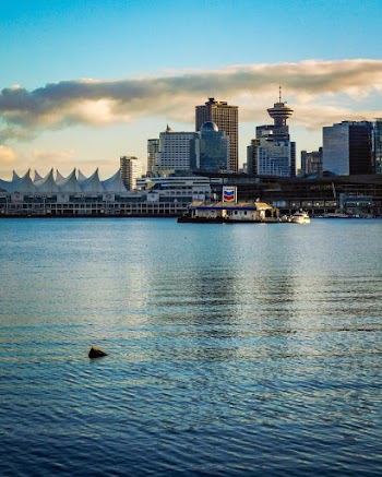 Panorama Photo of Buildings and Body of Water