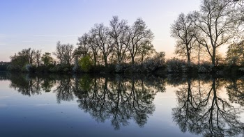 Panoramic Photo of Green Trees Near River at Noontime