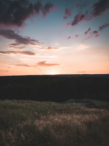 Panoramic Photo of Plains during Sunrise