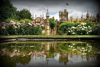 Panoramic Photography of Castle
