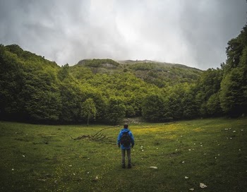 panoramic photography of man in blue jacket standing in front of trees