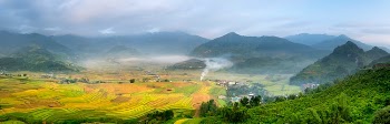 Panoramic View of Agricultural Land