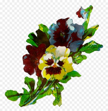 Pansy Floral design Cut flowers -  