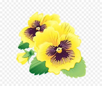 Pansy, Flower, Fotosearch, Yellow PNG