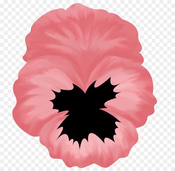 Pansy, Kappa Alpha Theta, Pansy Pansy, Pink, Hawaiian Hibiscus PNG