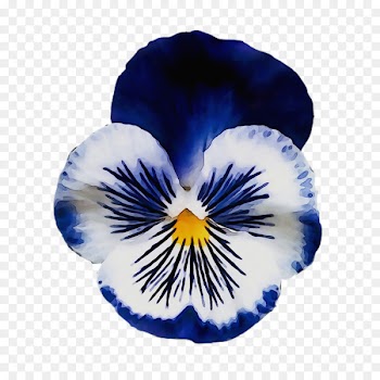 Pansy Tattoo Flower Thought Floral design -  