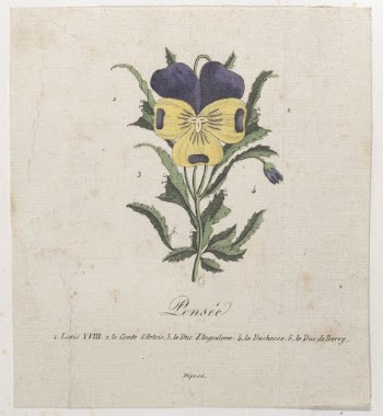 Pansy with hidden silhouettes | Free Photo - rawpixel