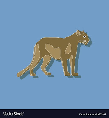 Panther paper sticker on stylish background vector image