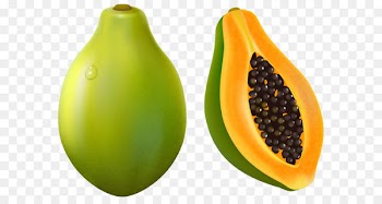 Papaya Clip art - Papaya PNG Vector Clipart Image 
