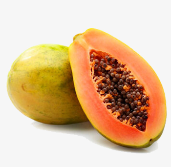 Papaya Fruit, Fruit Clipart, Food Products, Fresh PNG and Vector ...