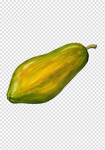 Papaya Fruit, Hand-painted Papaya transparent background PNG clipart
