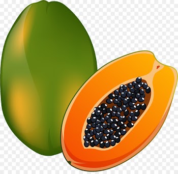 Papaya Illustration - Cut half of the papaya 
