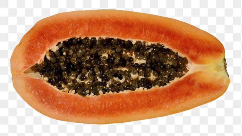 Papaya png sticker, tropical fruit | Free PNG - rawpixel