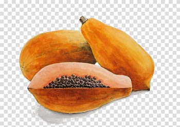 Papaya Watercolor painting Fruit, Hand-painted Papaya transparent background PNG clipart