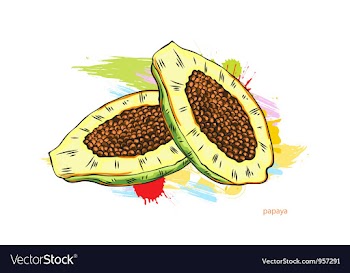Papaya with colorful splashes vector image