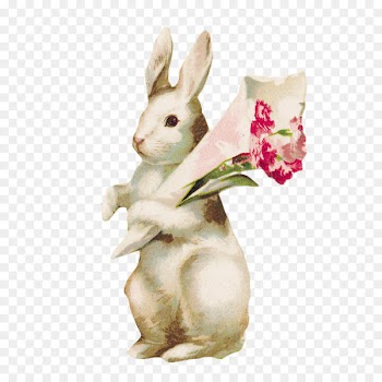 Paper Adhesive tape Washi Masking tape - rabbit 