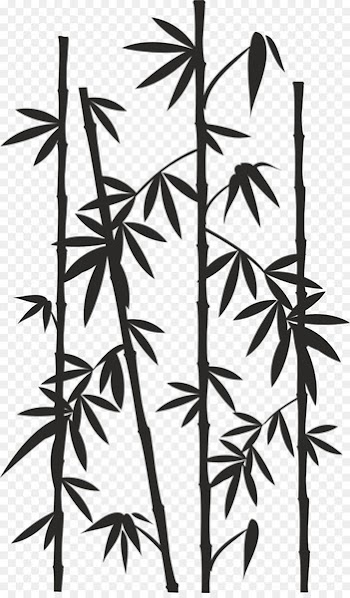Paper Bamboo Drawing Reed - bamboo 