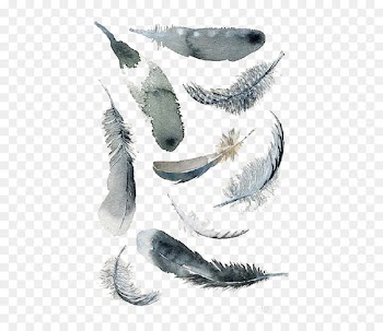 Paper Bird Feather Modern Watercolor: A Playful and Contemporary Exploration of Watercolor Painting - Feathers background 
