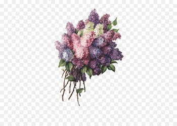 Paper Birthday Vintage clothing Greeting card Gift - Purple lavender 