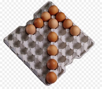 Paper Chicken Egg carton Packaging and labeling - Egg paddle packing tray 
