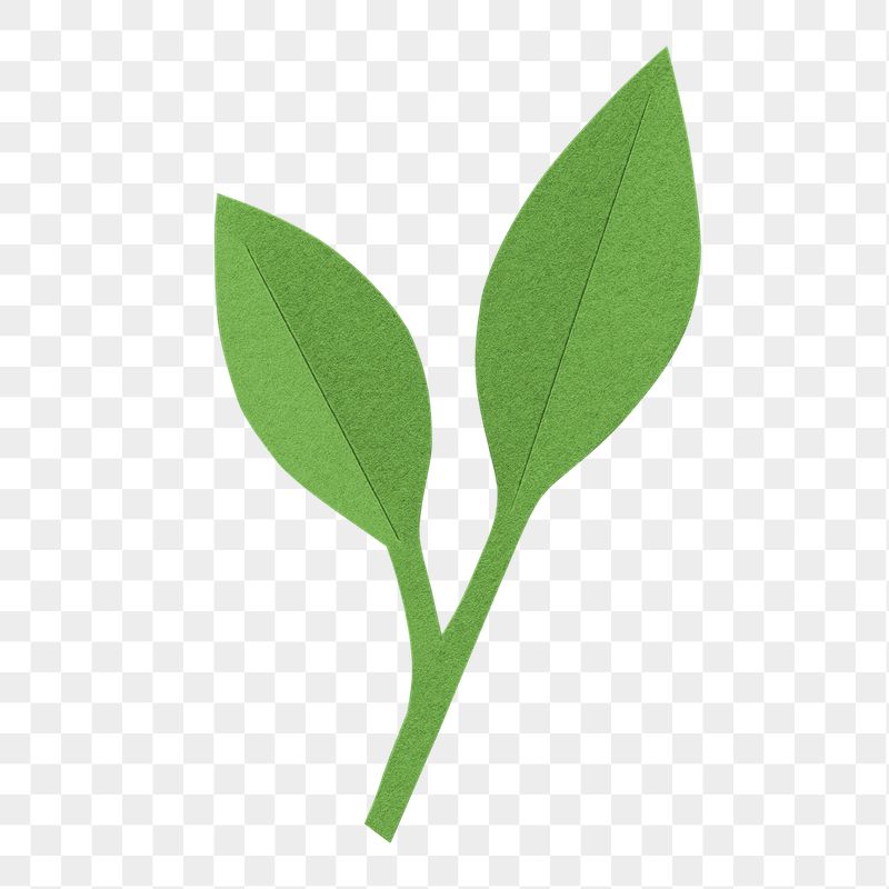 Paper craft leaf png sticker, | Free PNG - rawpixel