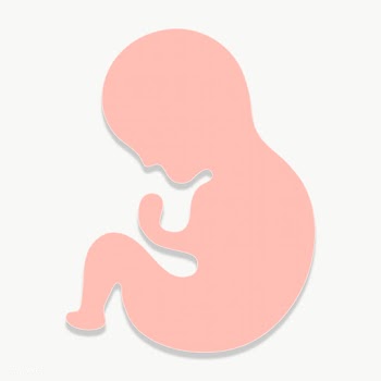 Paper craft pink fetus character design element | Free  transparent png - 2323407