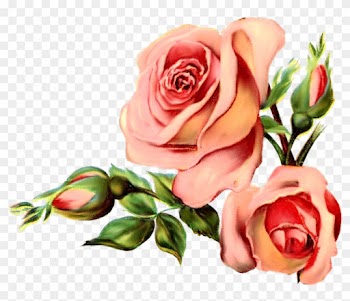 Paper Crafts Vintage Pieces For Collagealtered Art - Rose Vintage Png