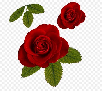 Paper Digital scrapbooking Letter Flower - Leaf Roses Png 
