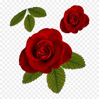 Paper Digital Scrapbooking Letter Flower - Rose And Leaf Png