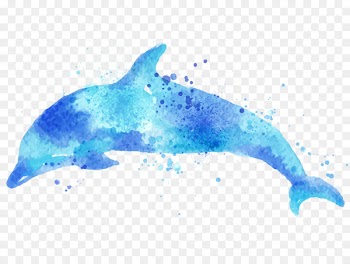 Paper Dolphin Drawing Watercolor painting - Drawing Dolphins 