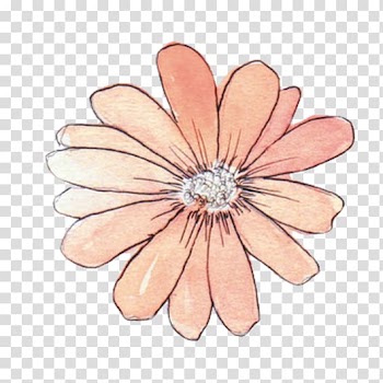 Paper Drawing Flower Watercolor painting Sticker, flower transparent background PNG clipart