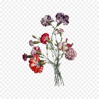 Paper Flower bouquet Drawing Vintage clothing - Bouquet of flowers 
