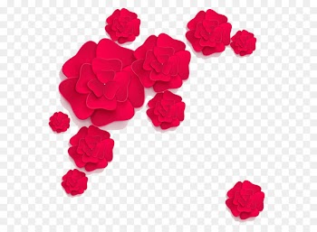 Paper Flower Floral design - Flowers 