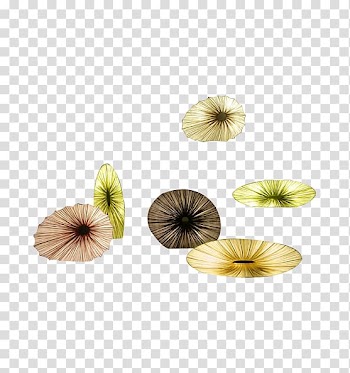 Paper Flower Google s, Colored suit transparent background PNG clipart