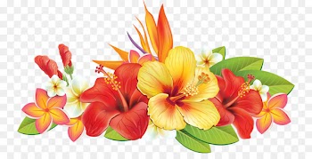 Paper Flower Hibiscus Illustration - Hand-painted hibiscus 