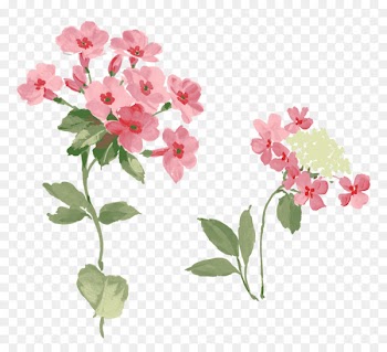 Paper Flower Vintage clothing Floral design Decoupage - Creative Valentine's Day 