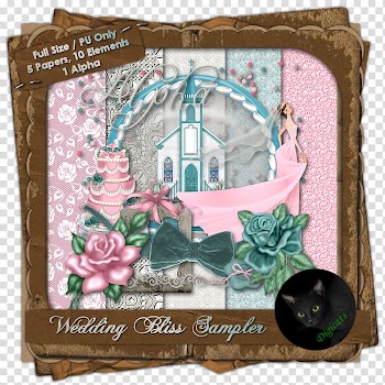 Paper Frames Digital scrapbooking, here comes the bride transparent background PNG clipart