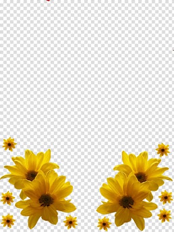 Paper Frames Flower , aqua frame transparent background PNG clipart