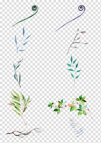 Paper Graphic design, leaf transparent background PNG clipart