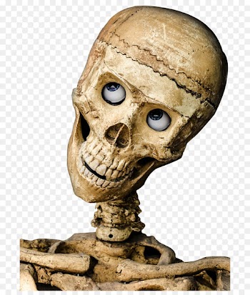 Paper Halloween Skull Mask Costume - Horror skull 