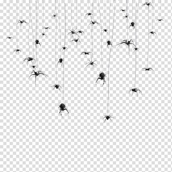 Paper Halloween, spiderweb transparent background PNG clipart