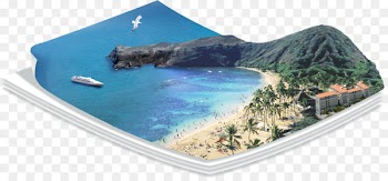 Paper Illustration - beach 