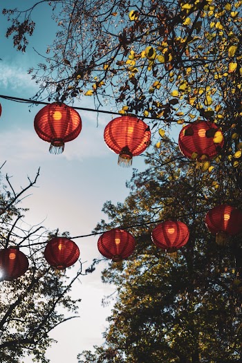 Paper Lanterns Hanging Near Trees