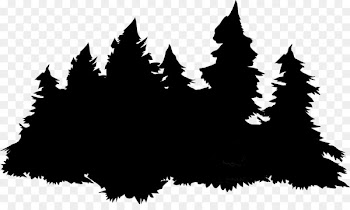 Paper, Leaf, Baby Animals, Tree, Shortleaf Black Spruce PNG