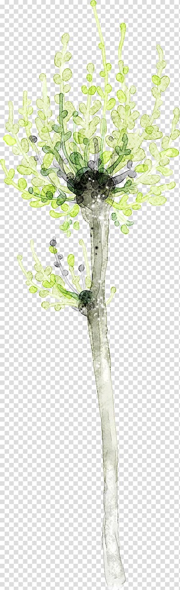 Paper Leaf Twig Tree Printing, Fresh green leaves of the tree transparent background PNG clipart